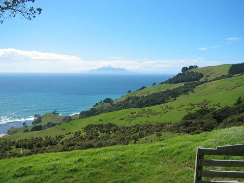 Pakiri gallery image 1