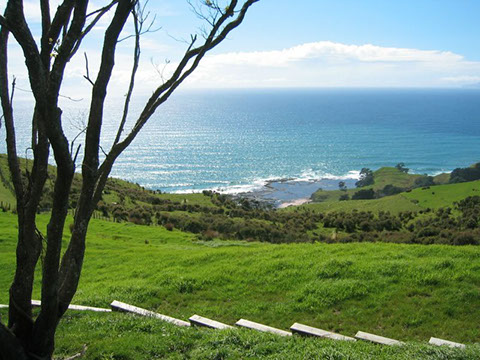 Pakiri gallery image 2